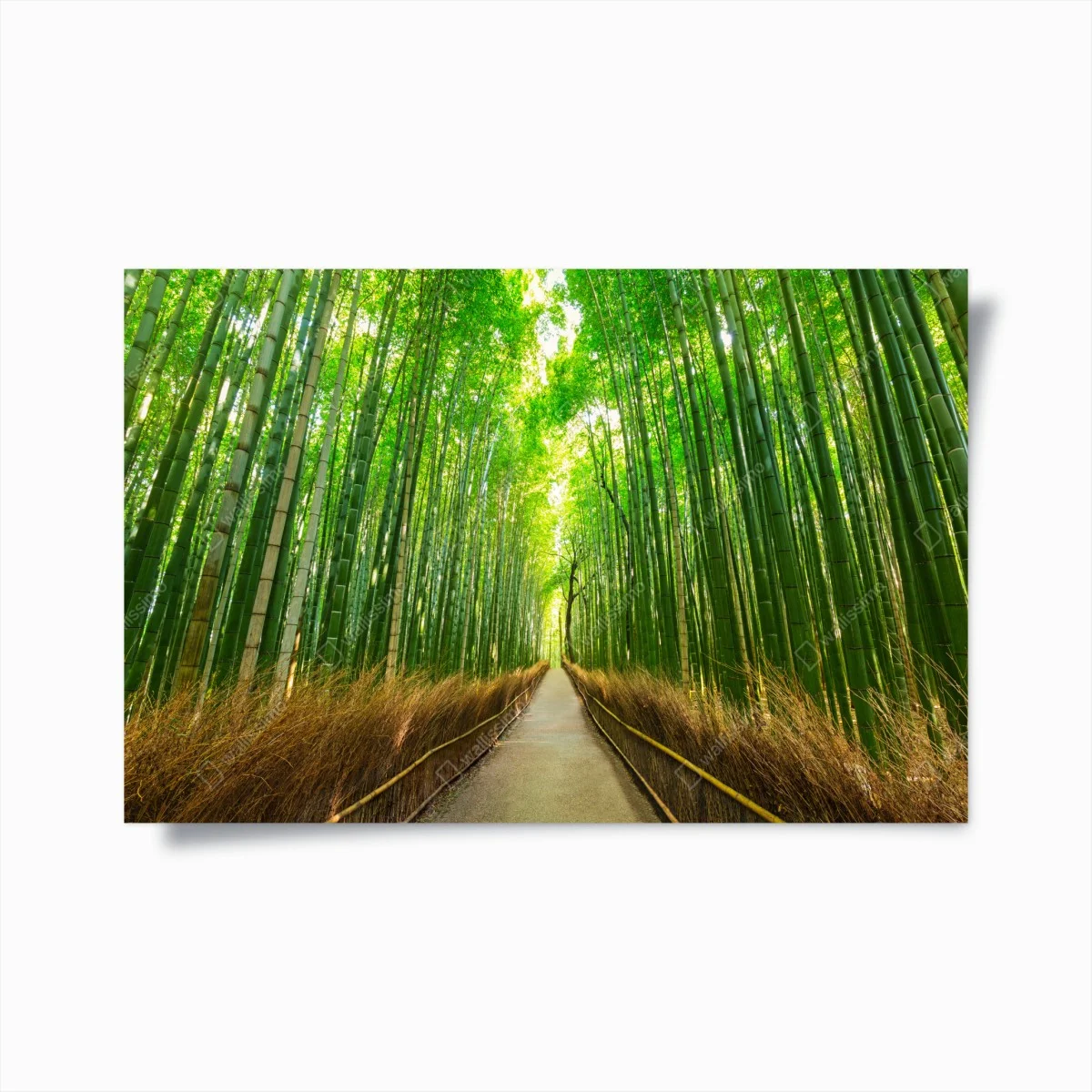 Poster allée de bambous d'Arashiyama, Kyoto – Wallnifity® Poster allée de bambous d'Arashiyama, Kyoto – Wallnifity®