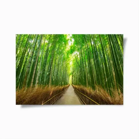 Poster allée de bambous d'Arashiyama, Kyoto – Wallnifity®