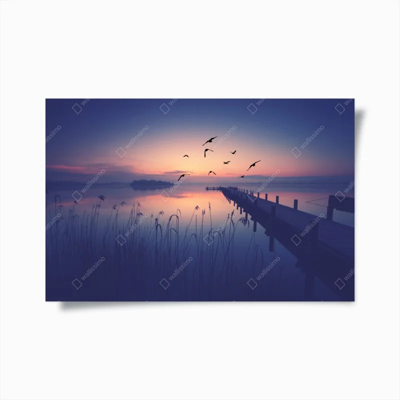 Posters – Wallnifity®