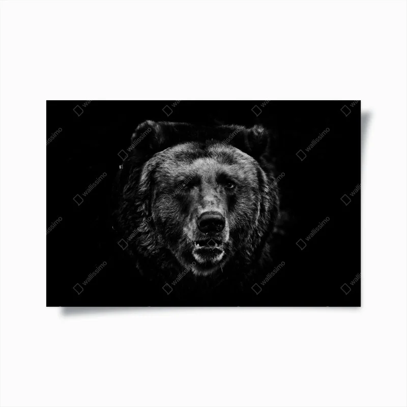 Animaux – Wallnifity®