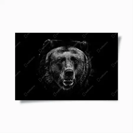 Poster portrait d'ours brun en clair-obscur – Wallnifity®