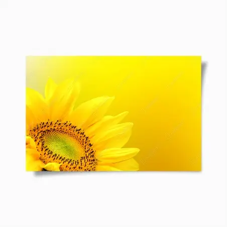 Poster tournesol éclatant sur fond jaune – Wallnifity®
