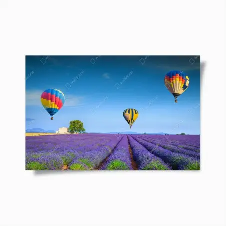Poster champ de lavande à Valensole sous montgolfières – Wallnifity®