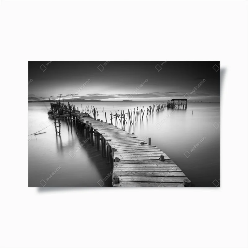 Posters – Wallnifity®