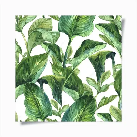 Poster motif de feuilles tropicales en aquarelle – Wallnifity®