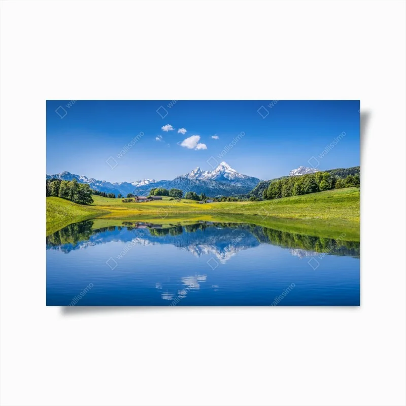 Posters – Wallnifity®