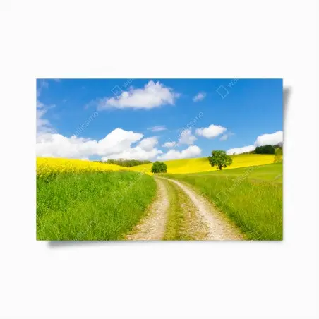 Poster chemin champêtre et champs de colza – Wallnifity®