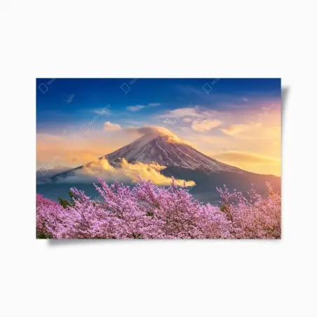 Poster lever du soleil sur le Mont Fuji et cerisiers en fleurs – Wallnifity®