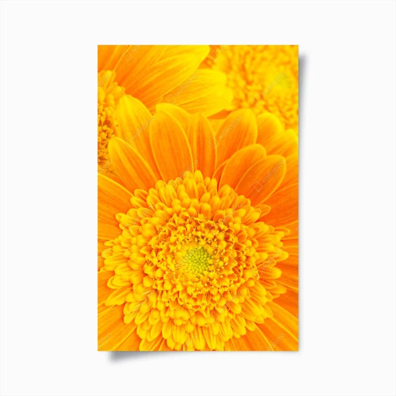 Posters – Wallnifity®