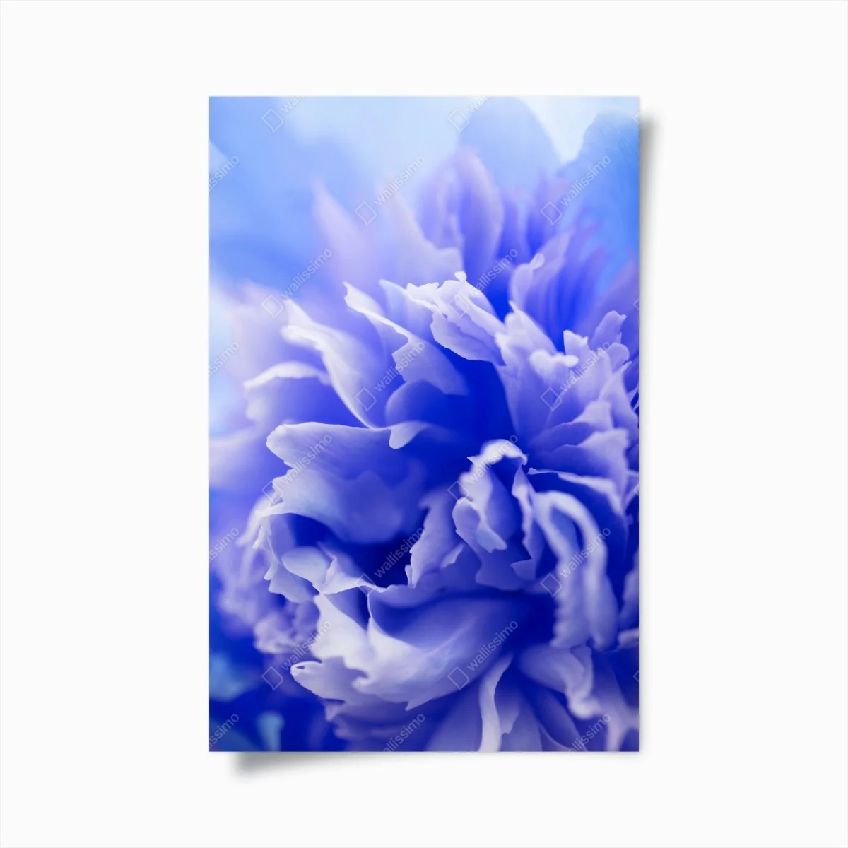Poster éclat floral bleu abstrait – Wallnifity® Poster éclat floral bleu abstrait – Wallnifity®