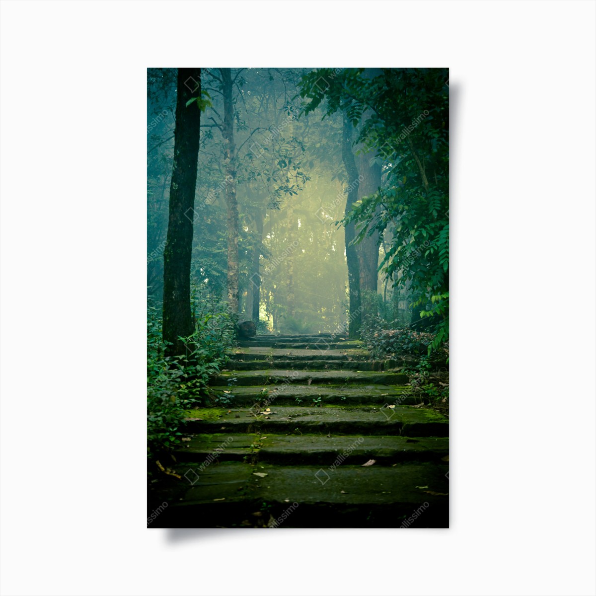 Poster escalier de pierre dans la forêt brumeuse – Wallnifity®