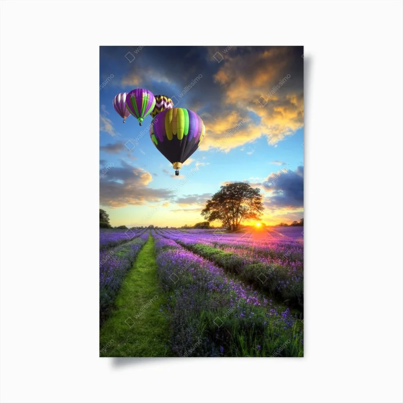 Posters – Wallnifity®
