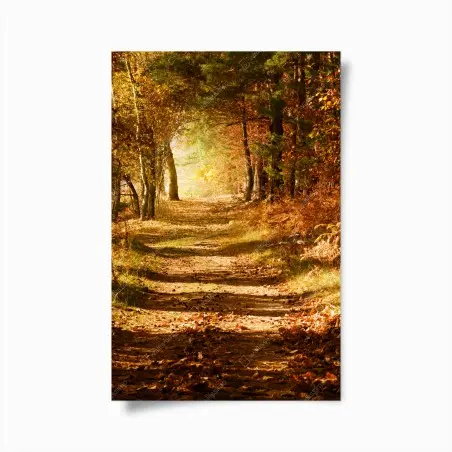Poster chemin doré en forêt automnale – Wallnifity®