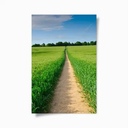 Poster chemin vers l'horizon dans un champ verdoyant – Wallnifity®