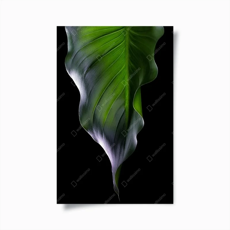 Posters – Wallnifity®