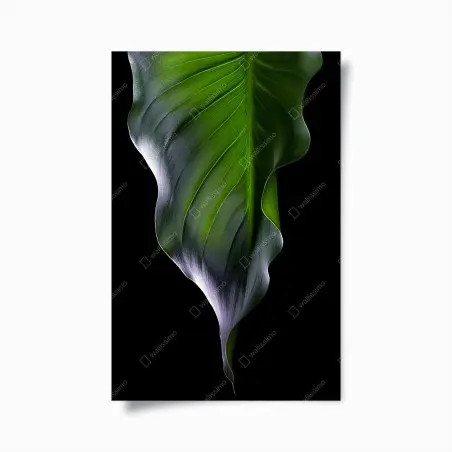 Poster feuille verte élégante sur fond noir – Wallnifity®