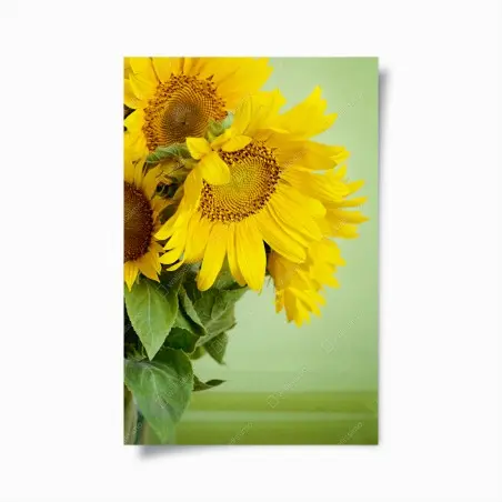 Poster bouquet de tournesols éclatants sur fond vert – Wallnifity®