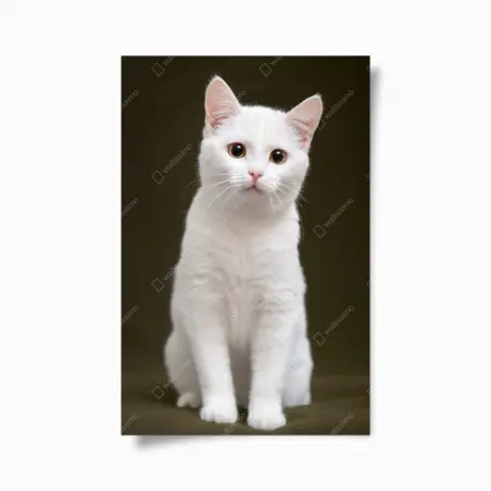 Poster portrait élégant de chat blanc aux yeux dorés – Wallnifity®