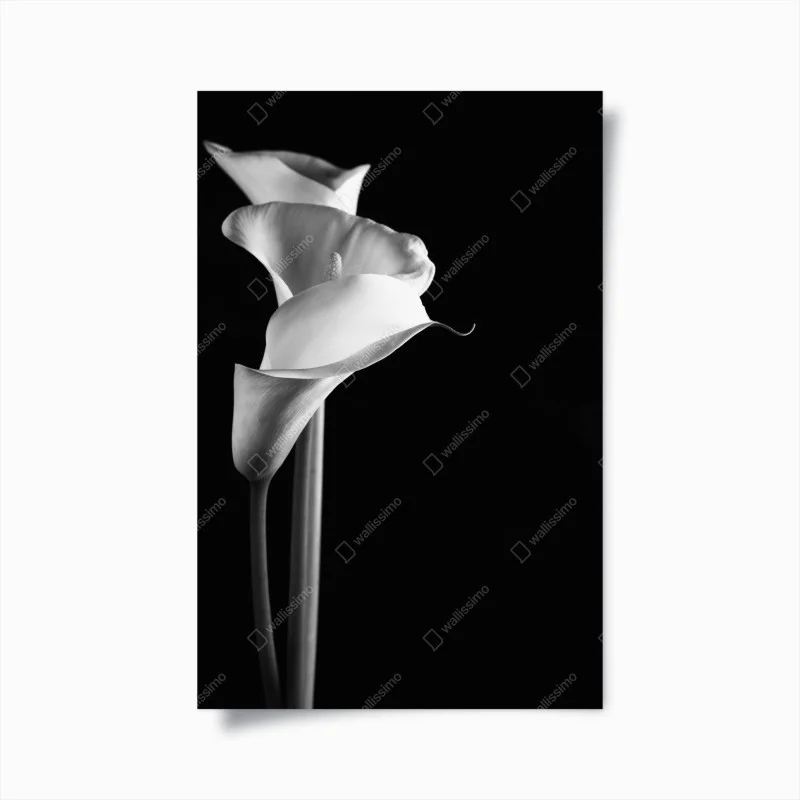Chambre – Wallnifity®