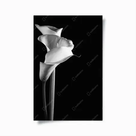 Poster élégance des arums en noir et blanc – Wallnifity®