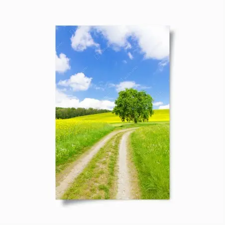 Poster chemin bucolique vers l'arbre solitaire – Wallnifity®