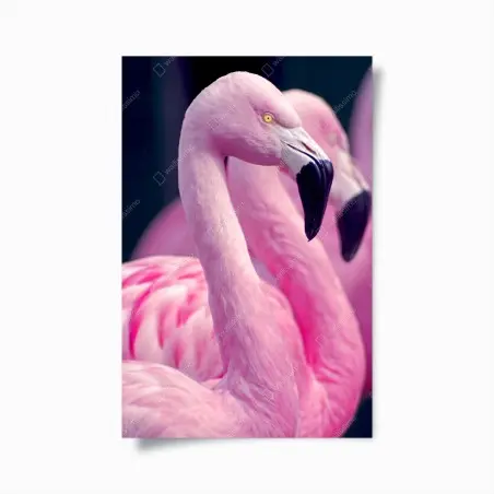 Poster élégance du flamant rose – Wallnifity®