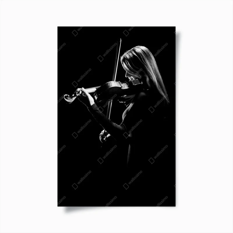 Posters – Wallnifity®