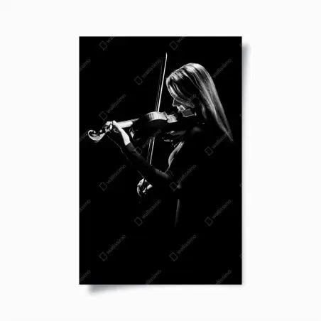 Poster violoniste en contre-jour – Wallnifity®
