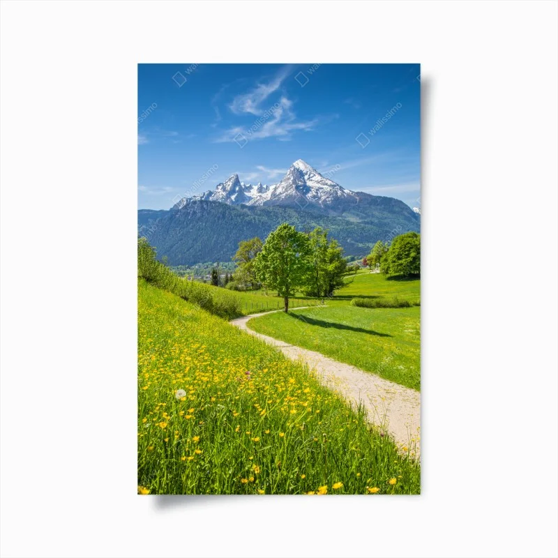 Posters – Wallnifity®