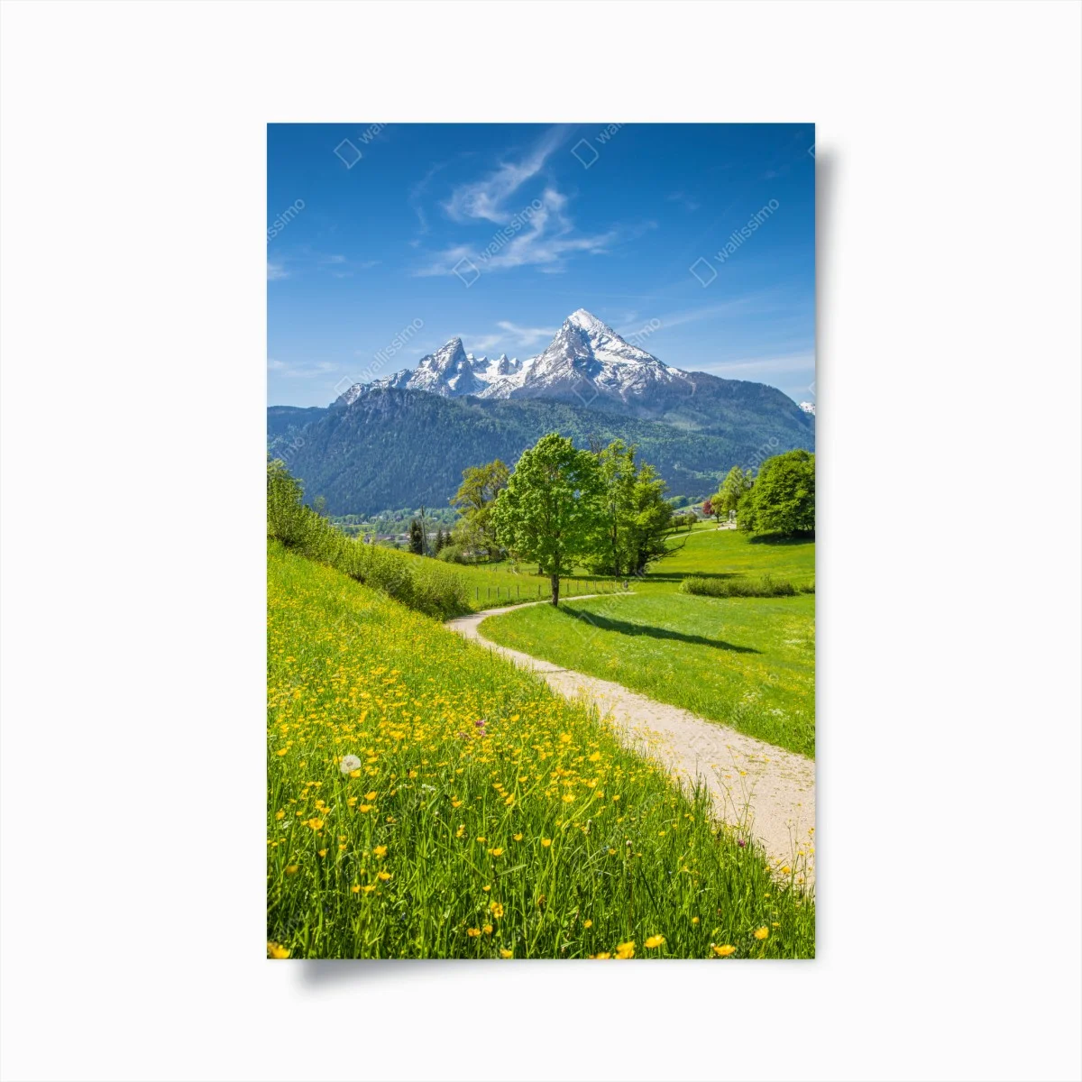 Poster chemin pittoresque vers les montagnes enneigées – Wallnifity® Poster chemin pittoresque vers les montagnes enneigées – Wallnifity®