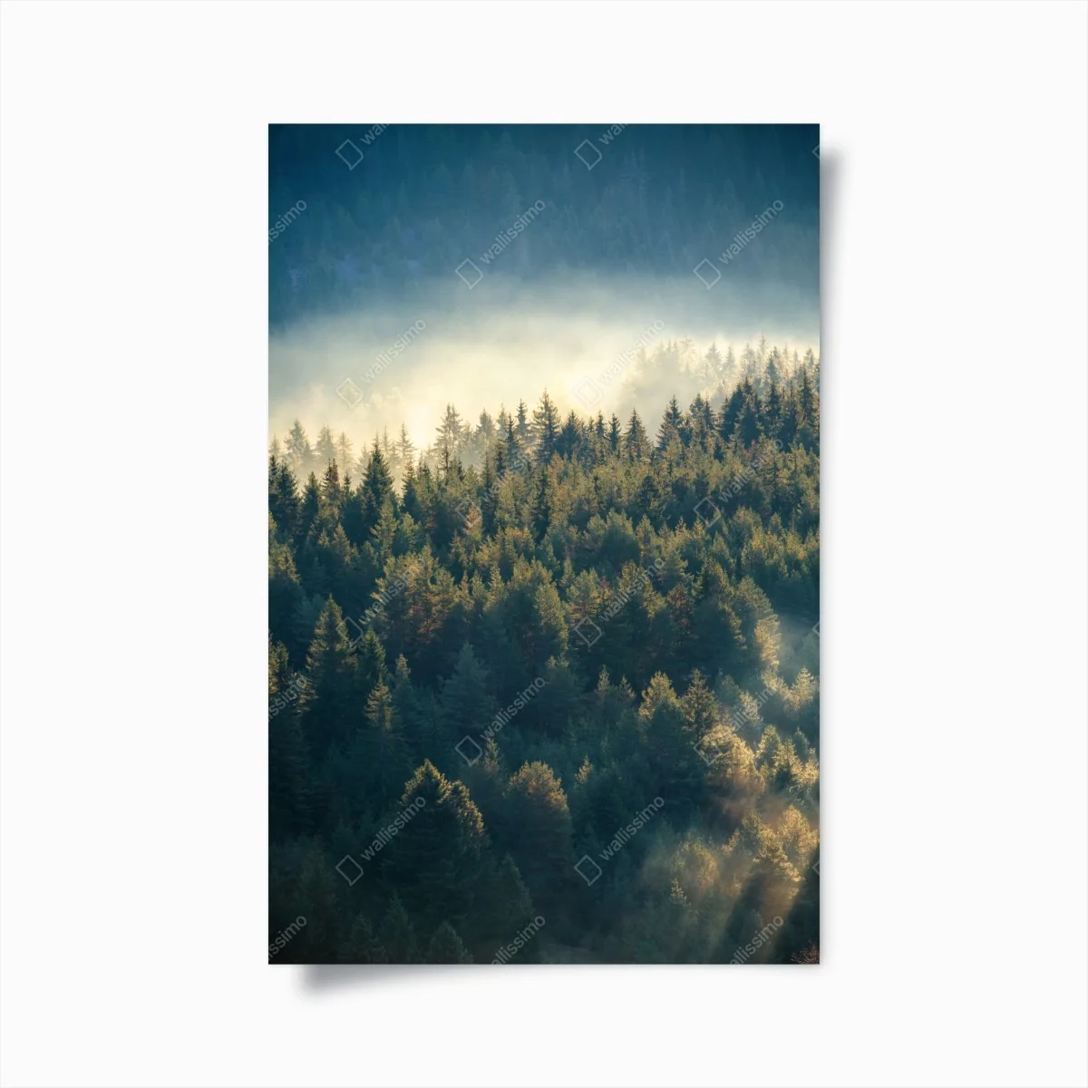 Poster brume matinale sur la pinède montagneuse – Wallnifity® Poster brume matinale sur la pinède montagneuse – Wallnifity®