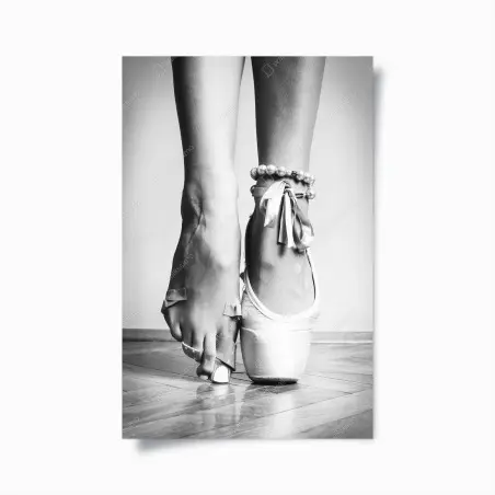 Poster élégance en pointe noir et blanc – Wallnifity®