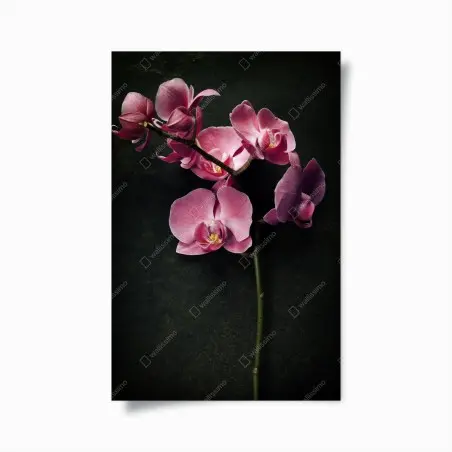 Poster orchidée rose sur fond vintage – Wallnifity®