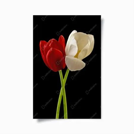 Poster tulipes croisées en contraste rouge et blanc – Wallnifity®