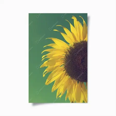 Poster tournesol rétro sur fond vert – Wallnifity®