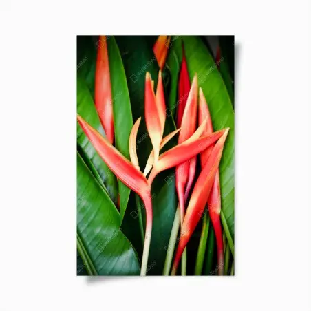 Poster fleurs tropicales rouges sur feuillage vert – Wallnifity®