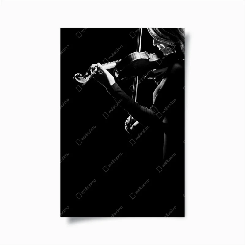 Posters – Wallnifity®