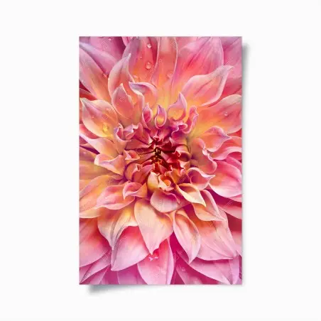 Poster éclat floral rose et pêche – Wallnifity®