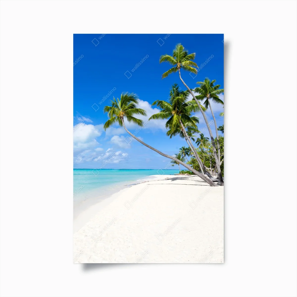 Poster paradis tropical de palmiers et plage immaculée – Wallnifity® Poster paradis tropical de palmiers et plage immaculée – Wallnifity®