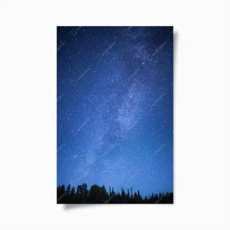 Poster la voie lactée au-dessus de la forêt – Wallnifity®