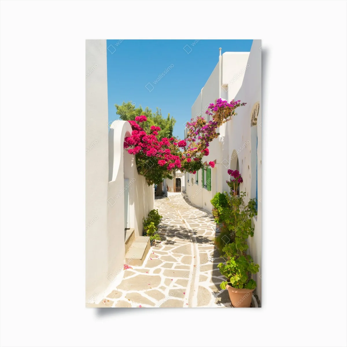 Poster allée fleurie sous le soleil – Wallnifity® Poster allée fleurie sous le soleil – Wallnifity®