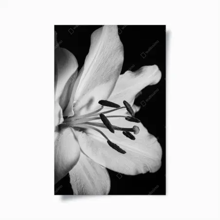 Poster élégance florale en noir et blanc – Wallnifity®