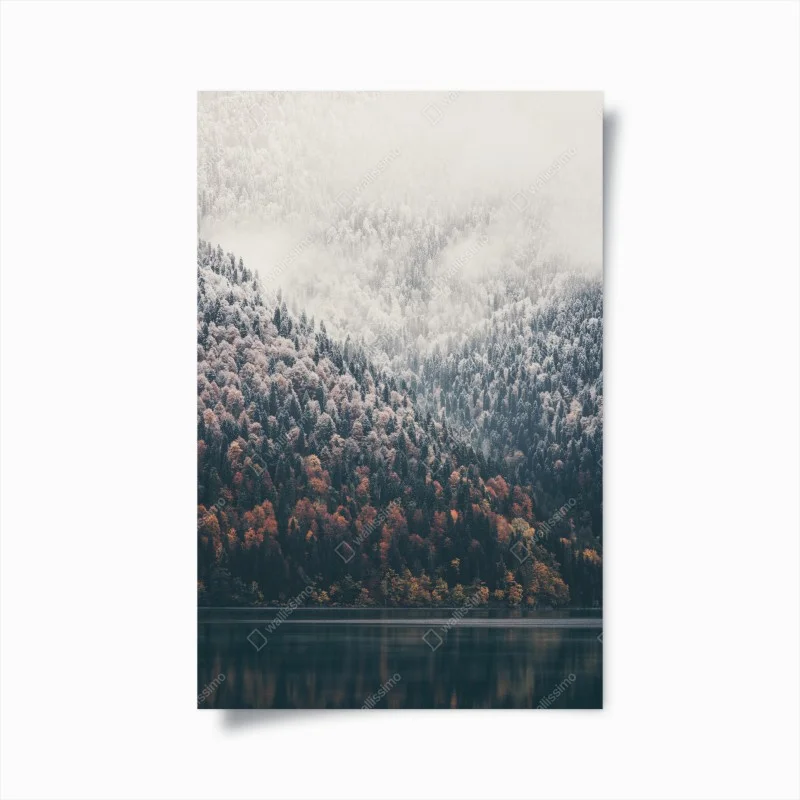 Scandinave – Wallnifity®