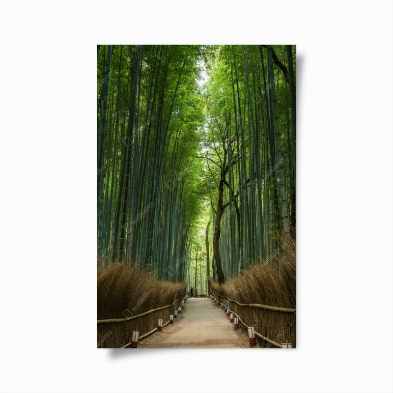 Posters – Wallnifity®