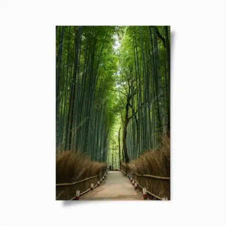 Poster allée de bambous zen en perspective – Wallnifity®