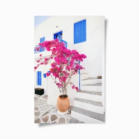 Poster éclat méditerranéen : bougainvillier sur façade blanche – Wallnifity®