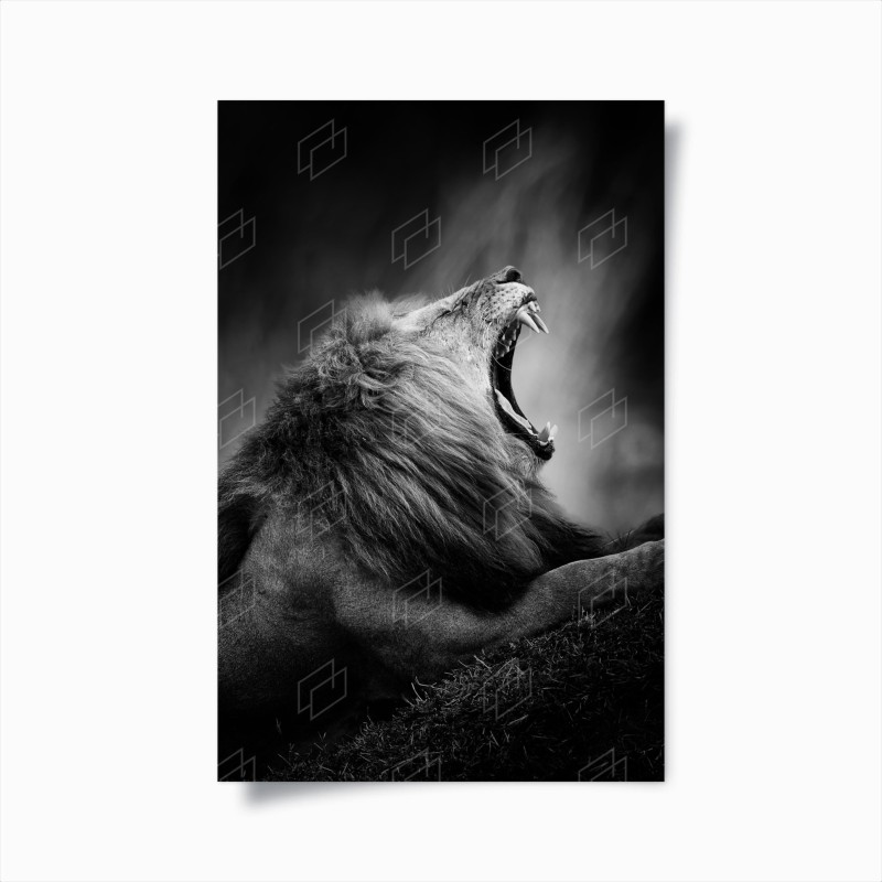 Animaux sauvages – Wallnifity®