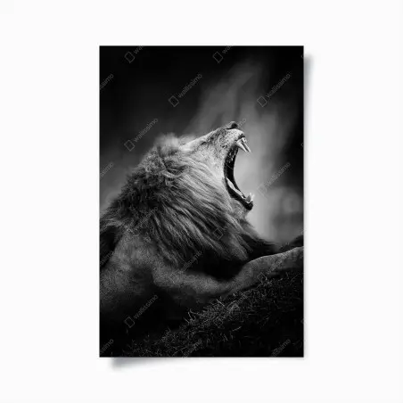Poster roi de la savane en noir et blanc – Wallnifity®