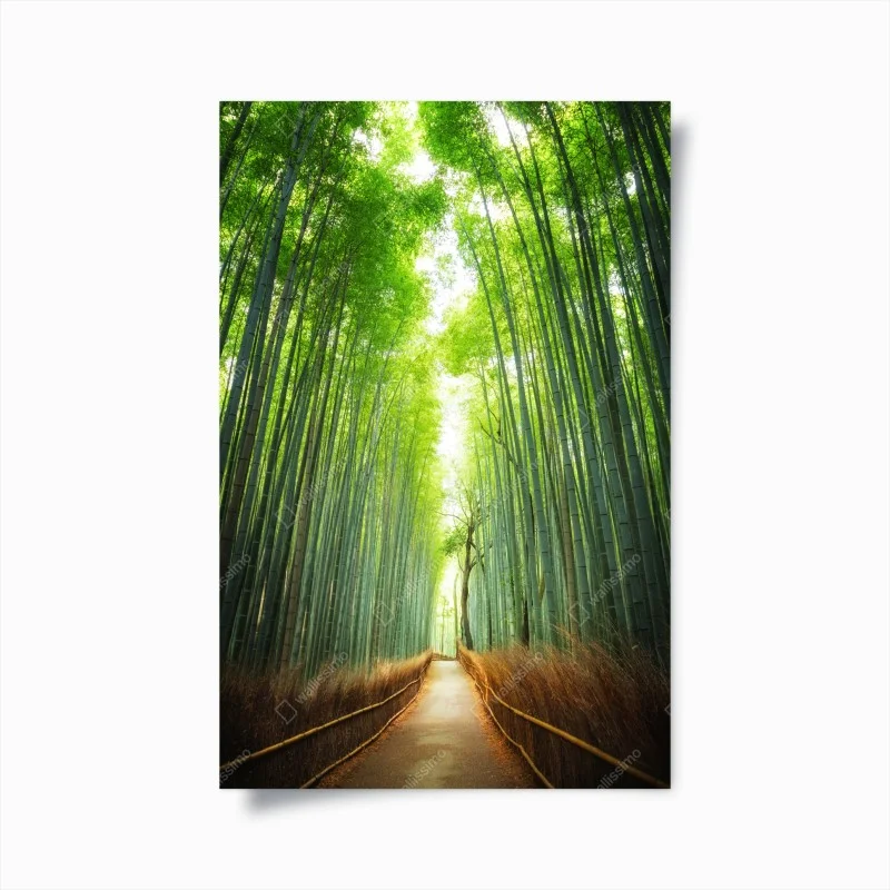 Oriental – Wallnifity®