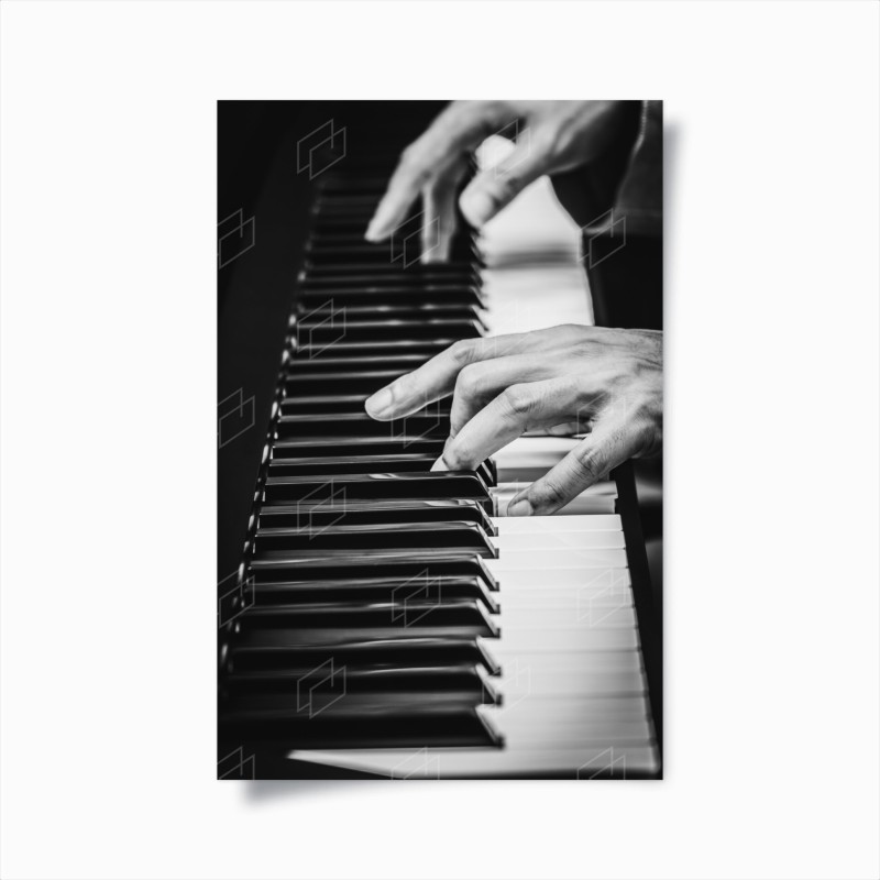 Musique – Wallnifity®